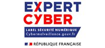 Expert-Cyber